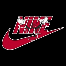 Chicago Bulls Nike logo heat sticker