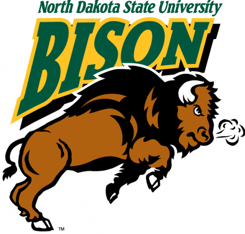 North Dakota State Bison 2005-2011 Alternate Logo 03 heat sticker