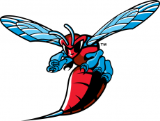 Delaware State Hornets 2004-Pres Primary Logo heat sticker