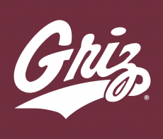 Montana Grizzlies 1996-Pres Alternate Logo 03 custom vinyl decal