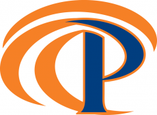 Pepperdine Waves 2011-Pres Secondary Logo custom vinyl decal