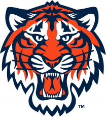 Detroit Tigers 1994-2006 Partial Logo custom vinyl decal