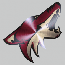 Arizona Coyotes Stainless steel logo custom vinyl decal