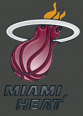 Miami Heat Plastic Effect Logo custom vinyl decal