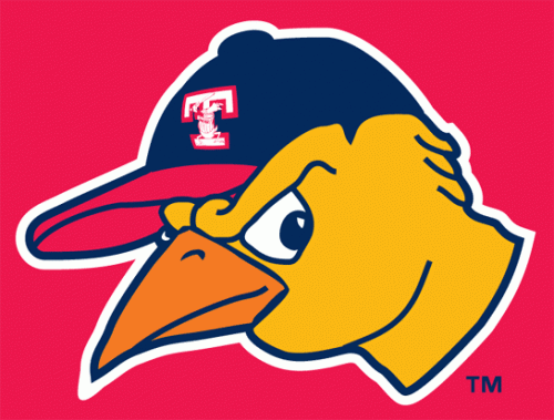 Toledo Mud Hens 19---2005 Cap Logo heat sticker