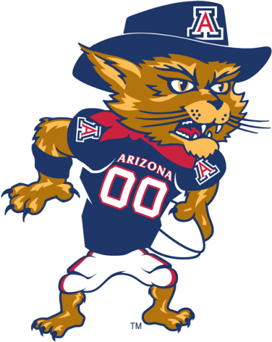 Arizona Wildcats 2003-2012 Mascot Logo 05 heat sticker