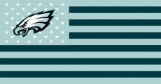 Philadelphia Eagles Flag001 logo heat sticker