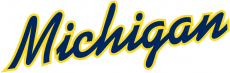 Michigan Wolverines 1996-Pres Wordmark Logo 10 custom vinyl decal