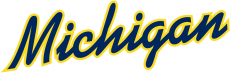 Michigan Wolverines 1996-Pres Wordmark Logo 10 heat sticker