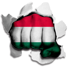 Fist Hungary Flag Logo heat sticker