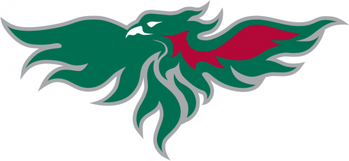 Wisconsin-Green Bay Phoenix 2007-Pres Partial Logo custom vinyl decal