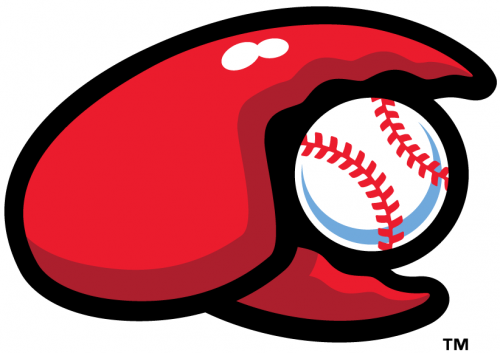 Hickory Crawdads 2016-Pres Secondary Logo heat sticker