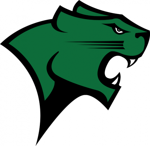 Chicago State Cougars 2009-Pres Primary Logo heat sticker