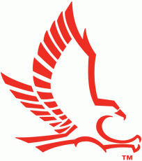 Hartford Hawks 1984-2014 Secondary Logo 01 custom vinyl decal