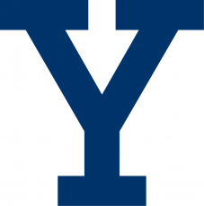 Yale Bulldogs 2000-Pres Alternate Logo custom vinyl decal