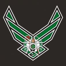 Airforce Boston Celtics Logo heat sticker
