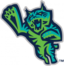 Lynchburg Hillcats 2017-Pres Alternate Logo heat sticker