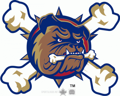 Hamilton Bulldogs 2015 16 Alternate Logo custom vinyl decal