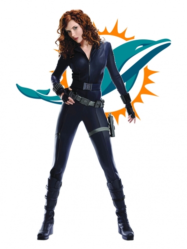 Miami Dolphins Black Widow Logo heat sticker