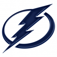 Tampa Bay Lightning Crystal Logo heat sticker