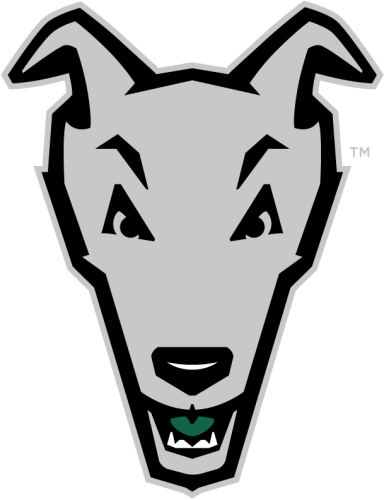 Loyola-Maryland Greyhounds 2011-Pres Alternate Logo 01 heat sticker