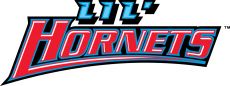 Delaware State Hornets 2004-Pres Misc Logo 01 heat sticker