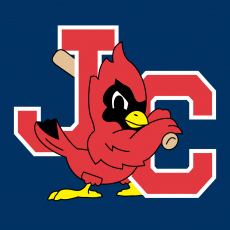 Johnson City Cardinals 1995-Pres Cap Logo heat sticker