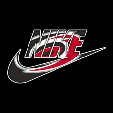 Carolina Hurricanes Nike logo heat sticker