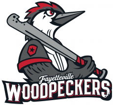 Fayetteville Woodpeckers 2019-Pres Primary Logo heat sticker