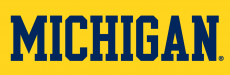 Michigan Wolverines 1996-Pres Wordmark Logo 01 heat sticker