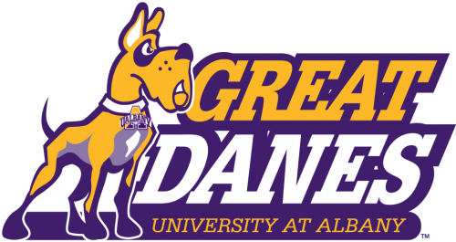 Albany Great Danes 2008-Pres Secondary Logo heat sticker