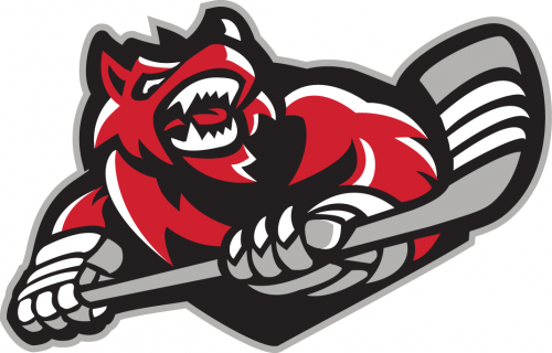 Huntsville Havoc 2016 17-Pres Secondary Logo heat sticker