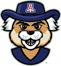 Arizona Wildcats 2013-Pres Mascot Logo heat sticker