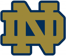 Notre Dame Fighting Irish 1994-Pres Alternate Logo 03 custom vinyl decal