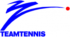 World TeamTennis 1983-1984 Primary Logo custom vinyl decal