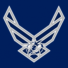 Airforce Tampa Bay Lightning Logo custom vinyl decal