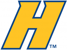 Hofstra Pride 2005-Pres Alternate Logo 01 custom vinyl decal