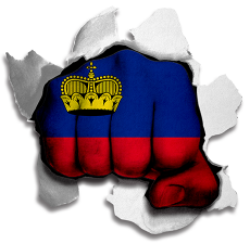 Fist Liechtenstein Flag Logo heat sticker