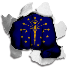 Fist Indiana State Flag Logo custom vinyl decal