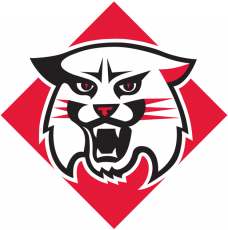 Davidson Wildcats 2010-Pres Primary Logo custom vinyl decal