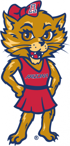 Arizona Wildcats 2003-2012 Mascot Logo 03 heat sticker