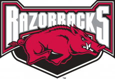 Arkansas Razorbacks 2001-2008 Alternate Logo 02 custom vinyl decal