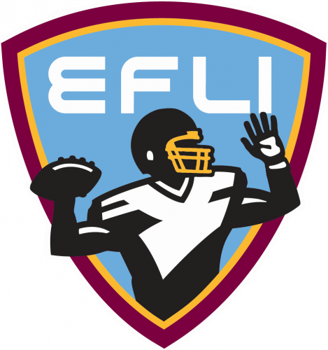 Elite Football League of India 2012-Pres Logo heat sticker