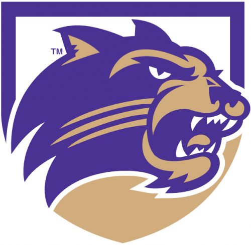 Western Carolina Catamounts 1996-2007 Alternate Logo 10 heat sticker