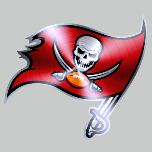 Tampa Bay Buccaneers Stainless steel logo heat sticker