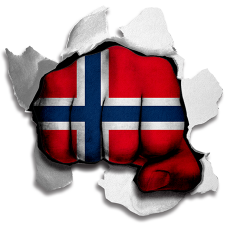 Fist Norwayc Flag Logo heat sticker