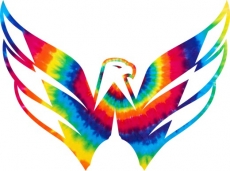 Washington Capitals rainbow spiral tie-dye logo heat sticker