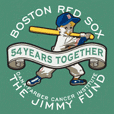 Boston Red Sox 2002 Misc Logo custom vinyl decal