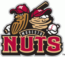 Modesto Nuts 2005-Pres Primary Logo heat sticker