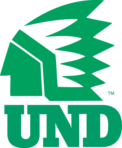 North Dakota Fighting Hawks 1976-1999 Alternate Logo 02 custom vinyl decal